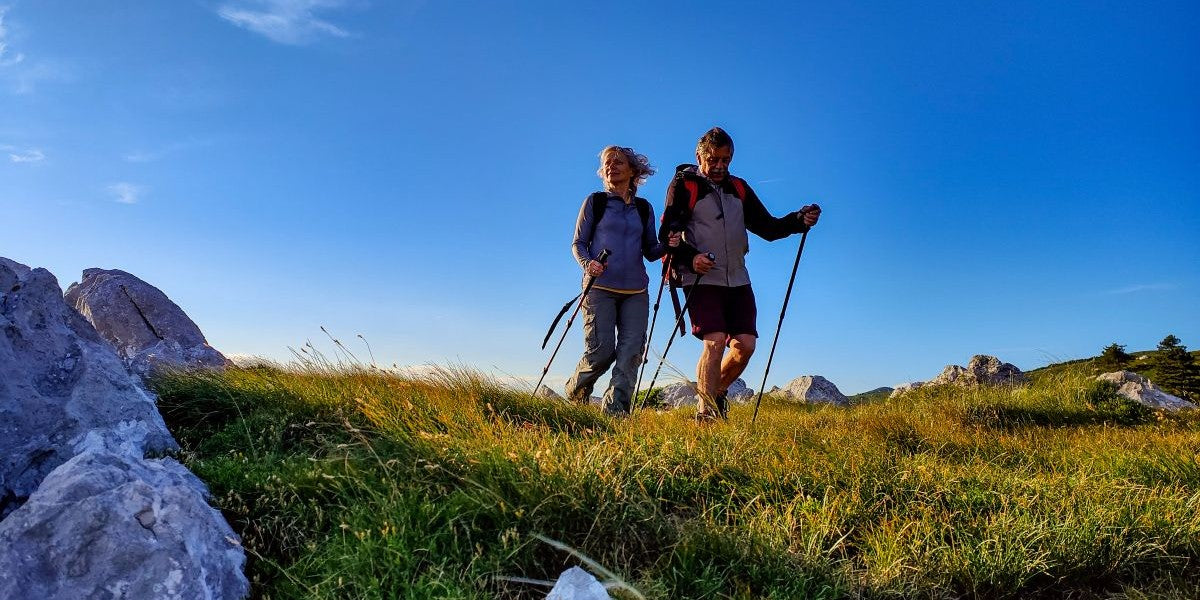 Wunderwaffe Wandern: Was sanfte Touren für unsere Gesundheit tun