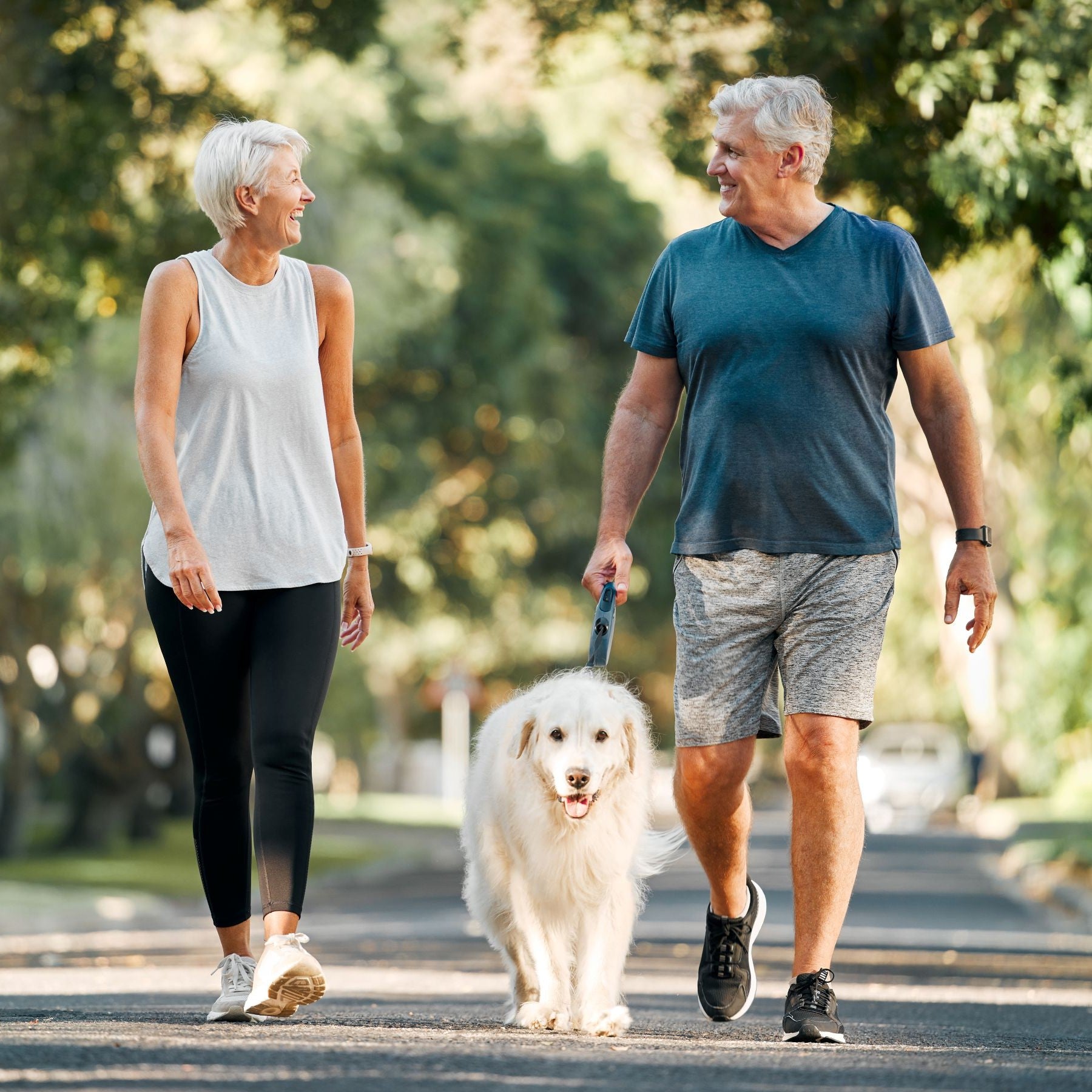 Älteres Paar geht mit Hund spazieren
