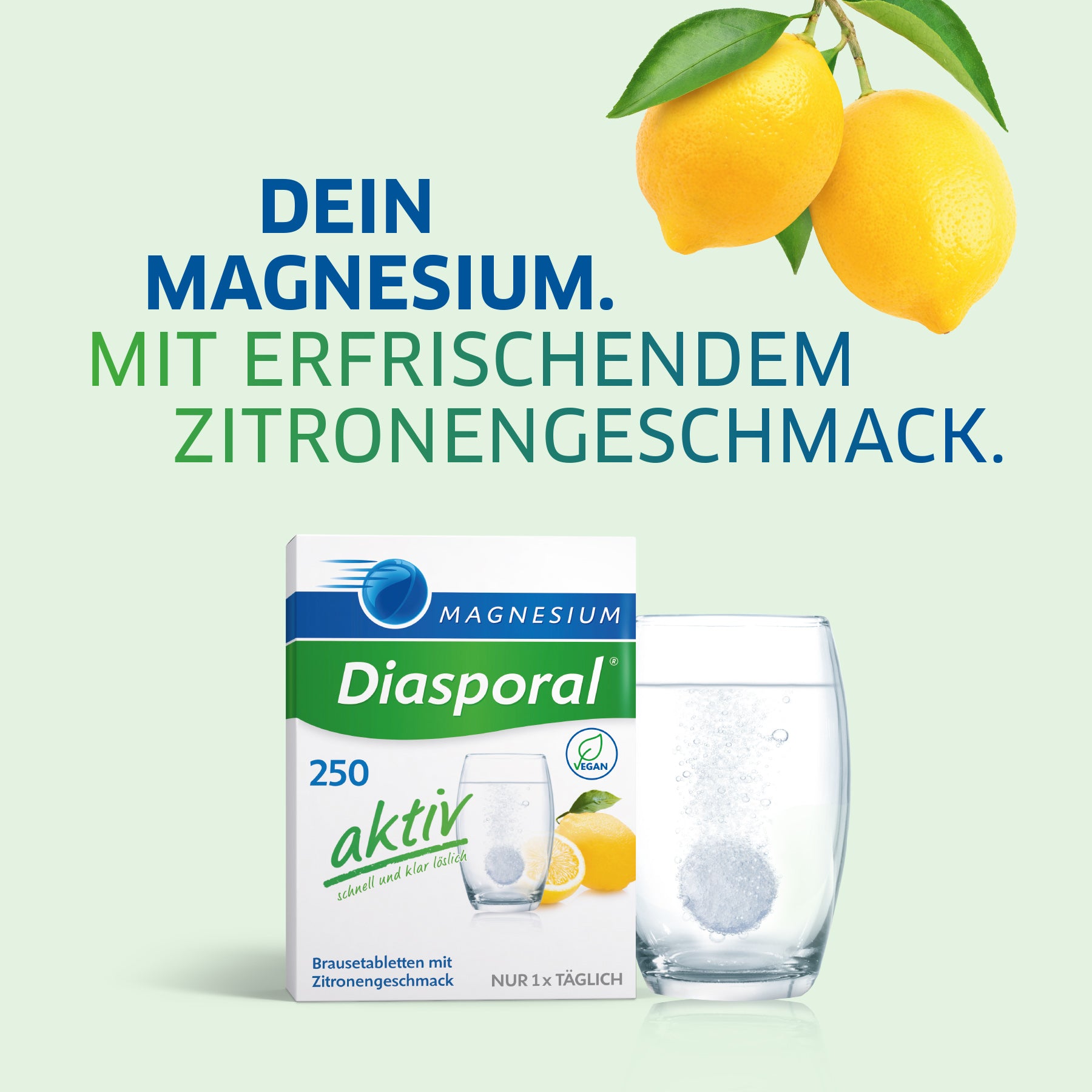 Magnesium-Diasporal 250 aktiv Brausetabletten