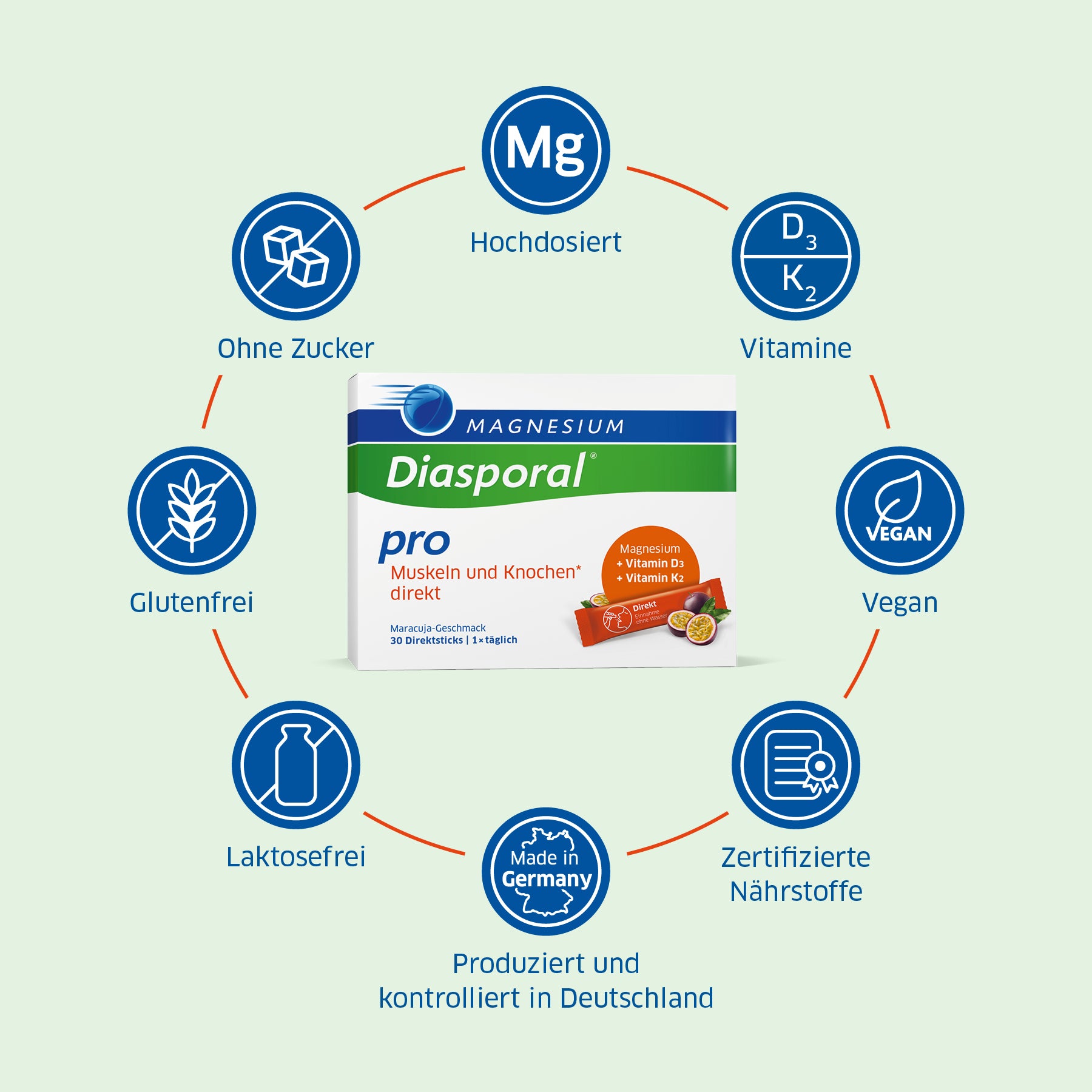 Die Vorteile von Magnesium-Diasporal Pro Muskeln und Knochen direkt im Überblick
