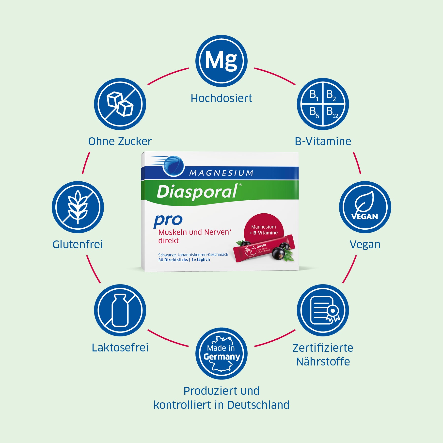 Die Vorteile von Magnesium-Diasporal Pro Muskeln und Nerven direkt im Überblick